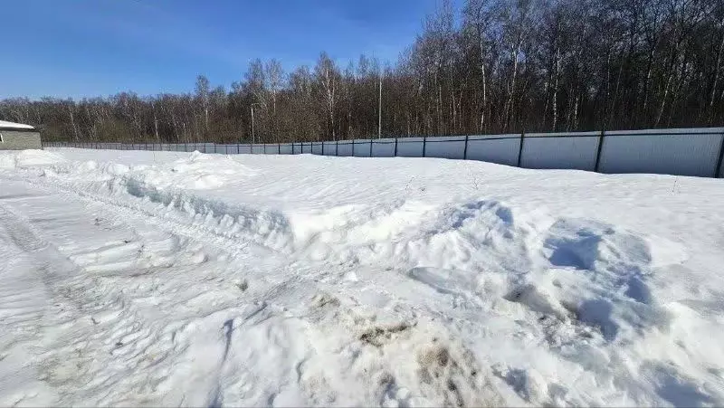 Участок в Москва Океан-3 СНТ, 3 (5.32 сот.) - Фото 1