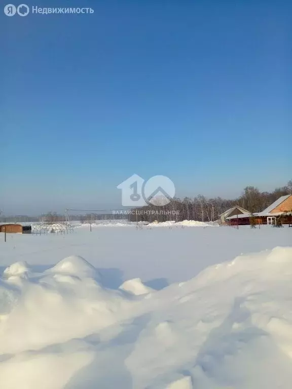 Участок в Барлакский сельсовет, территория ТСН Времена года, Январская ... - Фото 2
