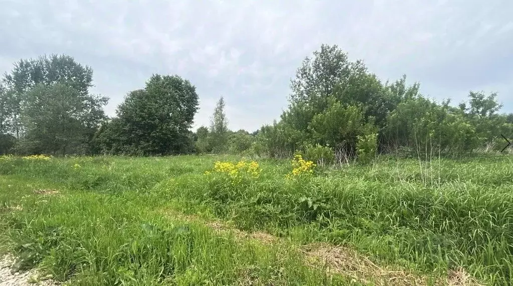 Участок в Московская область, Ступино городской округ, с. Сапроново  ... - Фото 0