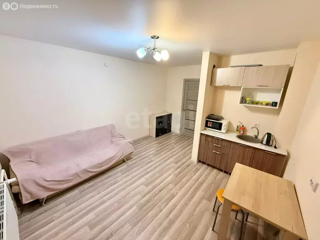 Квартира-студия: Хохряки, улица Петра Чайковского, 5 (20.6 м) - Фото 2