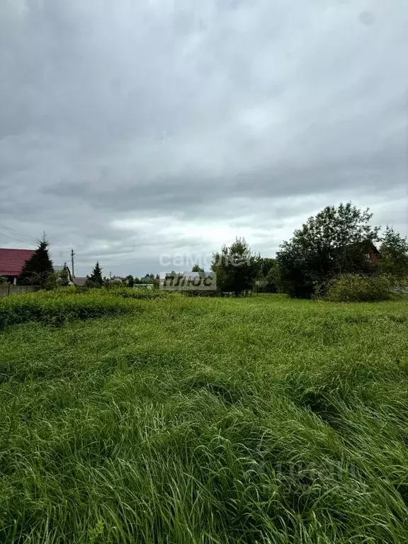 Участок в Московская область, Солнечногорск городской округ, д. ... - Фото 0