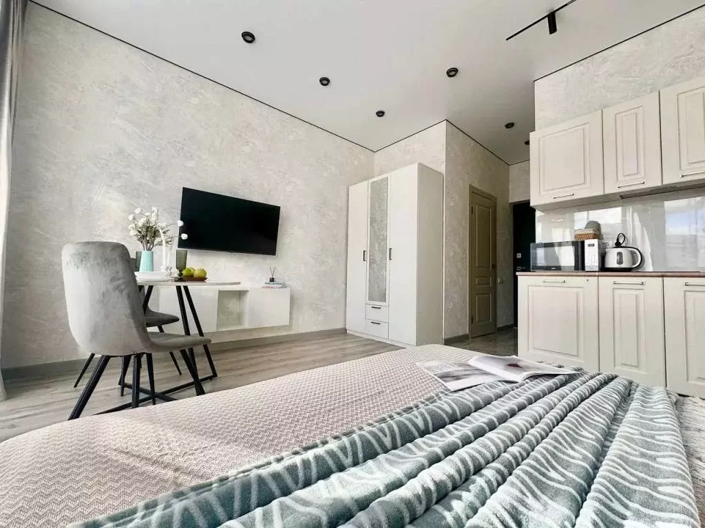 1-к кв. Московская область, Люберцы Шоссейная ул., 42/2 (27.0 м) - Фото 2