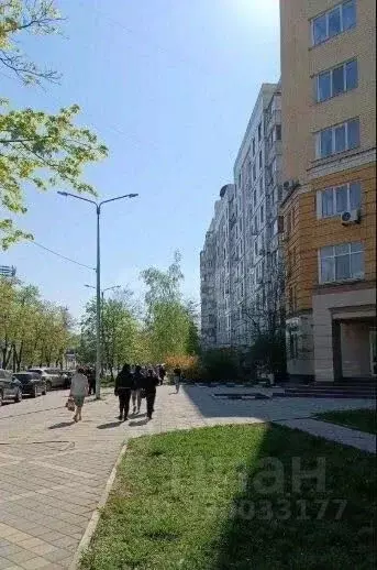 Офис в Белгородская область, Белгород Народный бул., 107 (606 м) - Фото 2