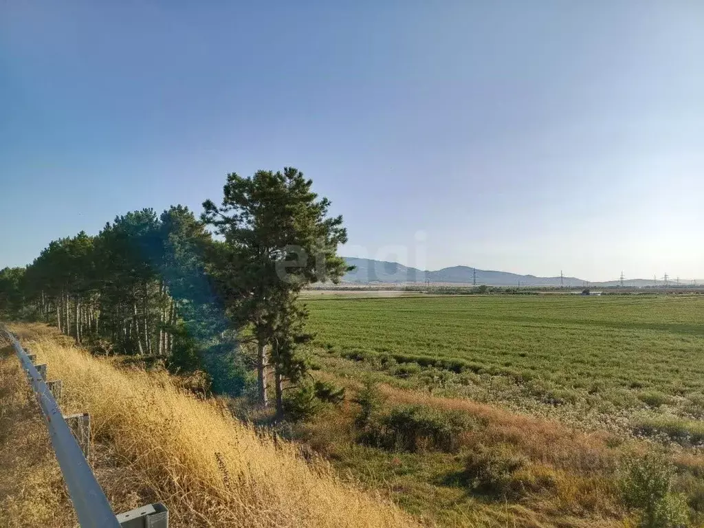 Участок в Крым, Кировский район, с. Абрикосовка ул. Восточная (253.2 ... - Фото 1