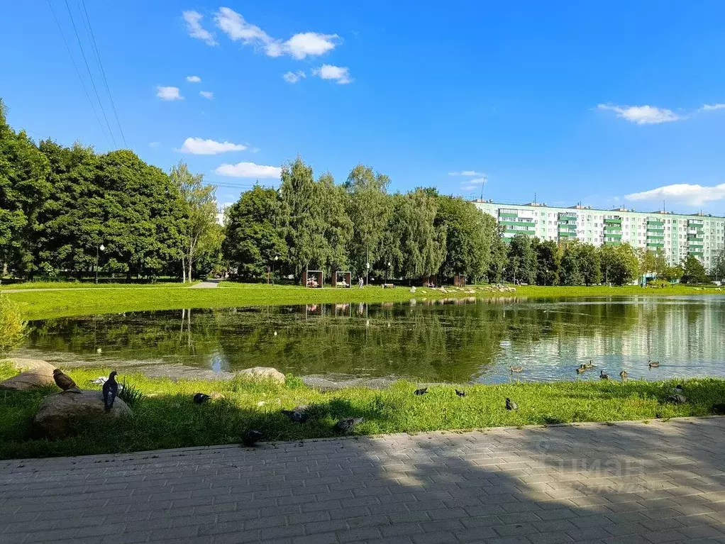 Комната Москва Коровинское ш., 16 (13.9 м) - Фото 1
