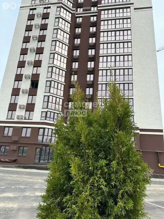 3-комнатная квартира: Иваново, улица Павла Большевикова, 50к6 (75.5 м) - Фото 1