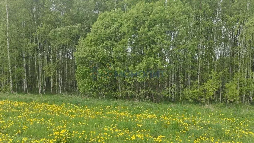 Участок в Нижегородская область, Богородский муниципальный округ, с. ... - Фото 0