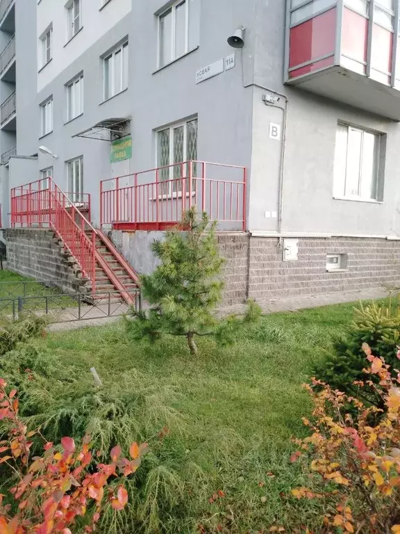 Помещение свободного назначения в Ленинградская область, Всеволожский ... - Фото 1