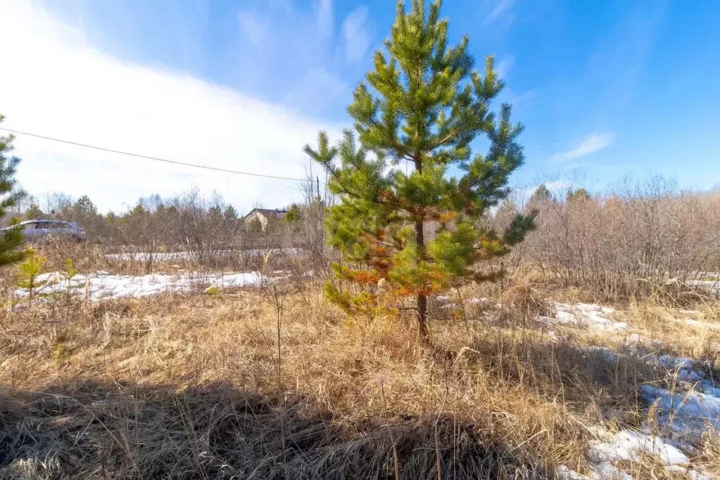 Участок в Тюменская область, Нижнетавдинский муниципальный округ, ... - Фото 1