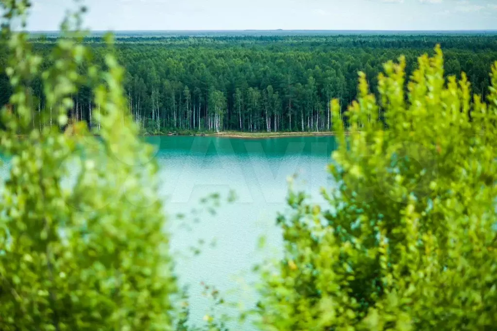 Участок 10,9 сот. (СНТ, ДНП) - Фото 0