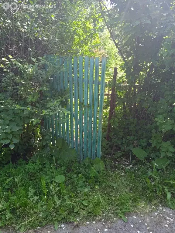 Участок в Челябинск, СНТ Янтарь, 11-я улица (6 м) - Фото 2
