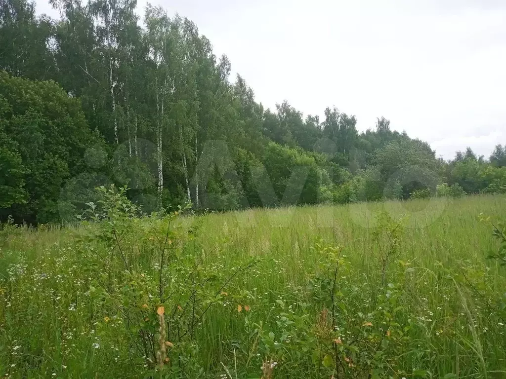 Участок лида. Деревня Лиды Московская область. Лиды Московская область.