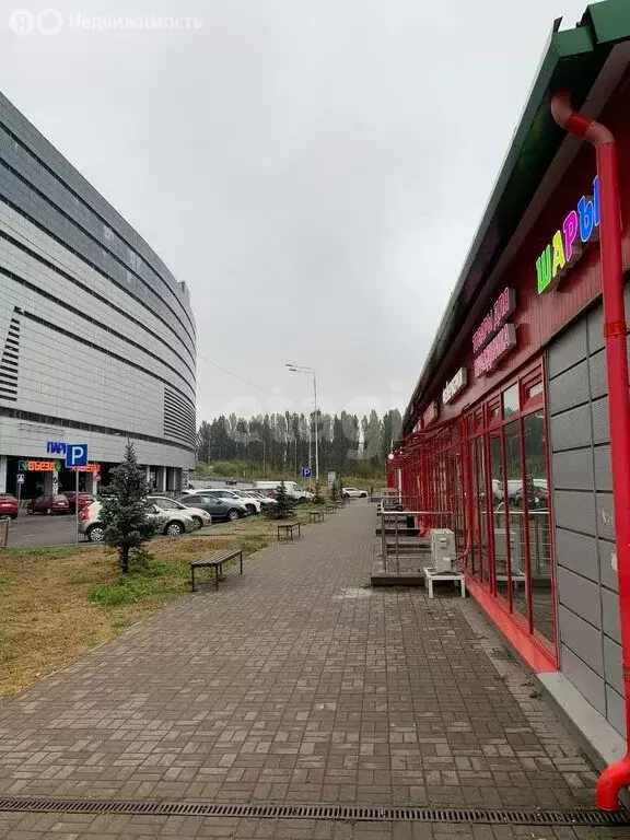 Торговая площадь (62.8 м) - Фото 1