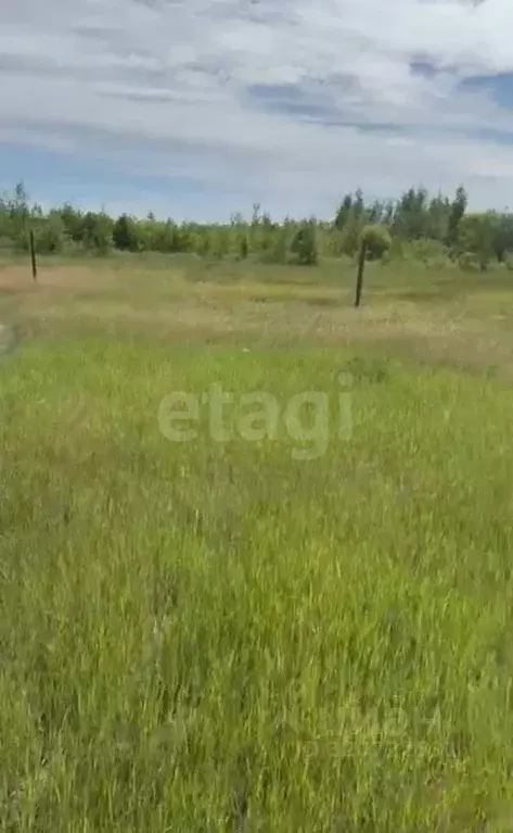 Участок в Саха (Якутия), Якутск  (1409.0 сот.) - Фото 0