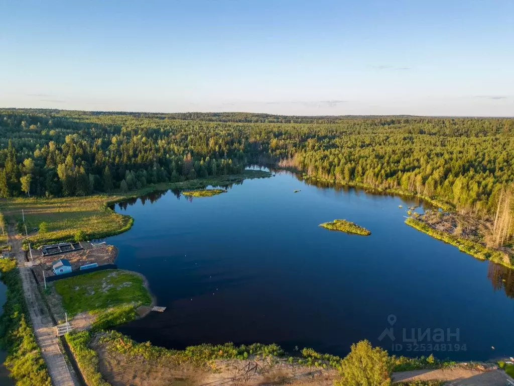 Участок в Московская область, Рузский муниципальный округ, д. ... - Фото 2