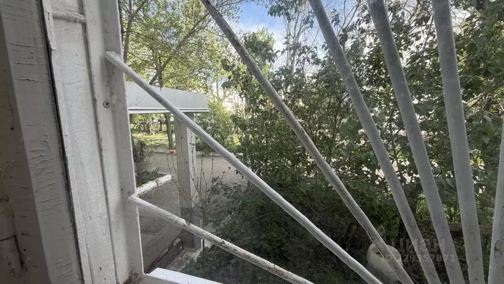 Помещение свободного назначения в Краснодарский край, Новороссийск ул. ... - Фото 1