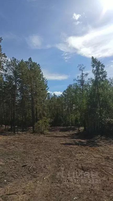 Участок в Саха (Якутия), Мегино-Кангаласский улус, Нижний Бестях пгт ... - Фото 2