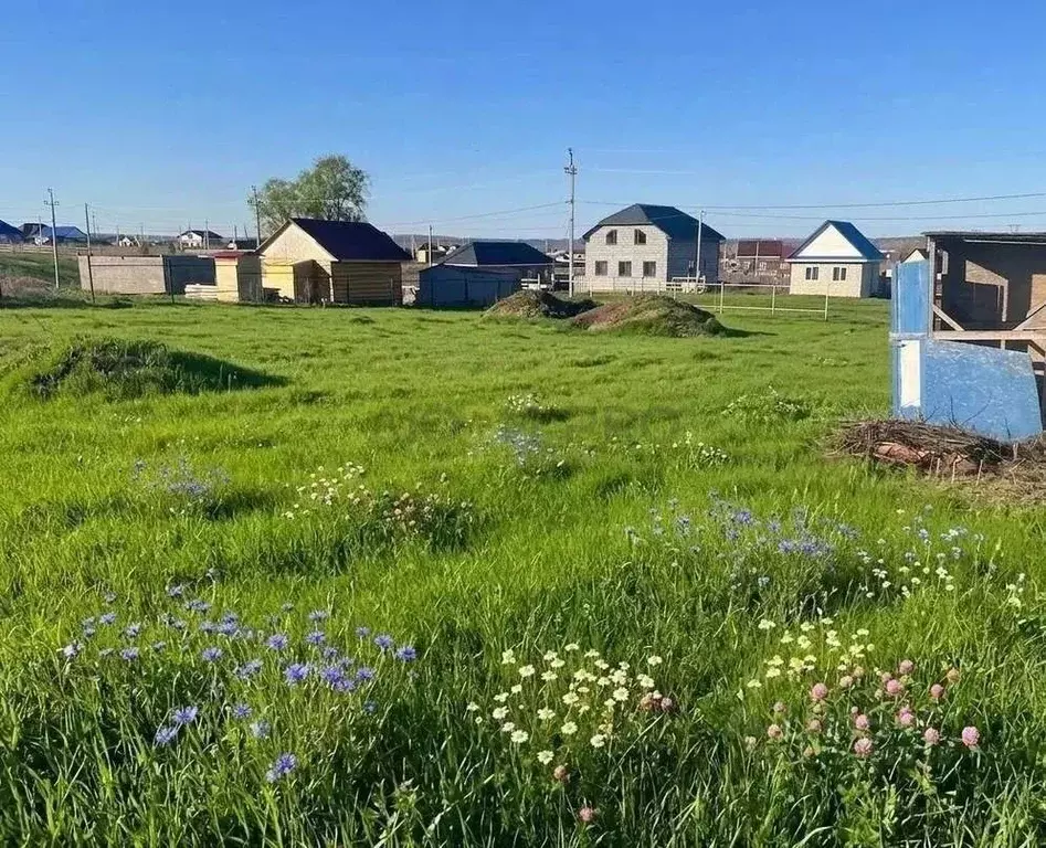 Участок в Башкортостан, Кармаскалинский район, д. Кабаково  (1500.0 ... - Фото 2