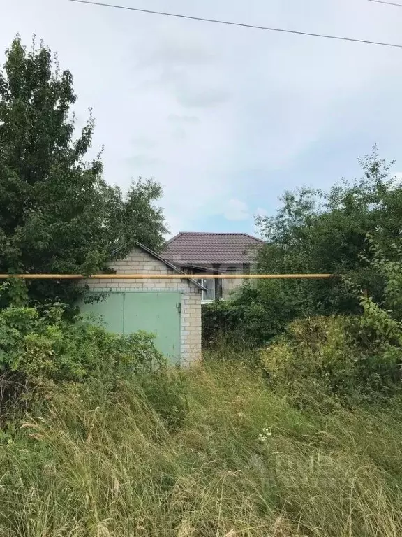 Дом в Воронежская область, Верхнехавский район, Углянское с/пос, пос. ... - Фото 1