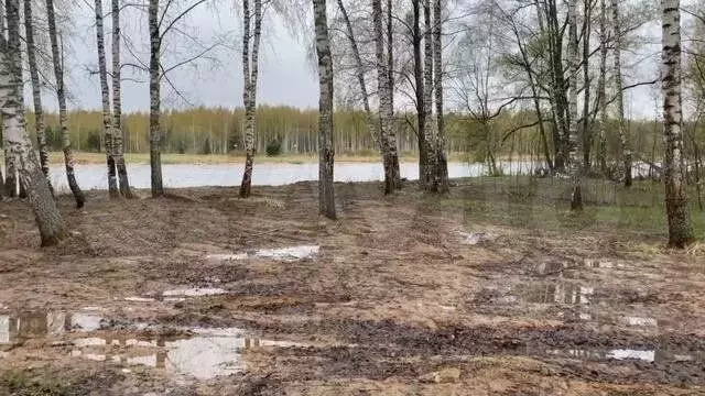 Участок 20 сот. (ИЖС) - Фото 1