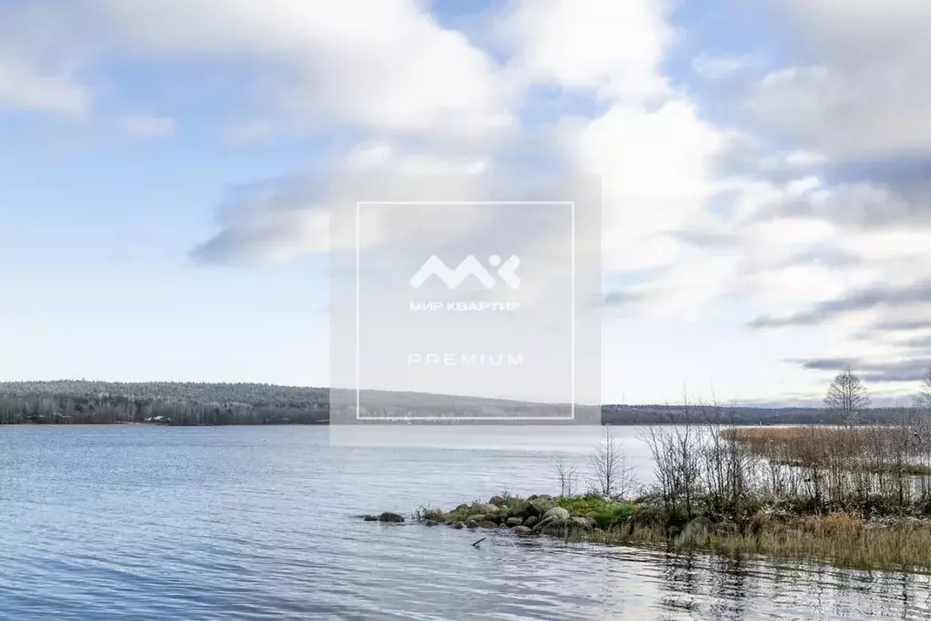 Участок в Ленинградская область, Выборгский район, Рощинское городское ... - Фото 1