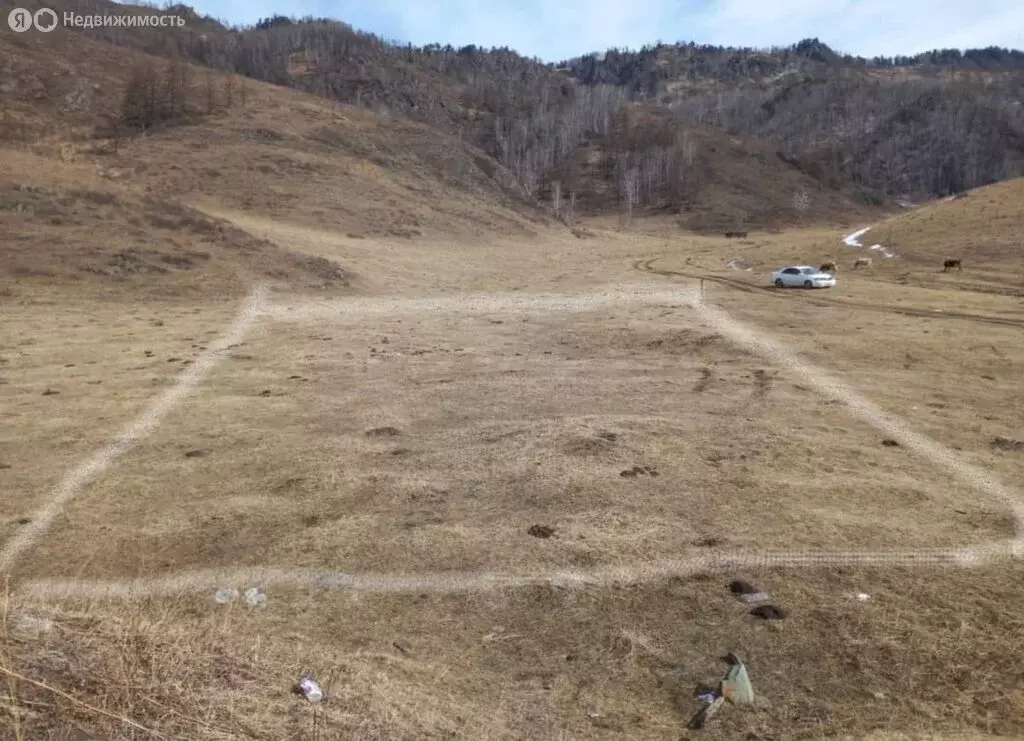 Участок в село Шебалино, улица Мелиораторов (15 м) - Фото 1