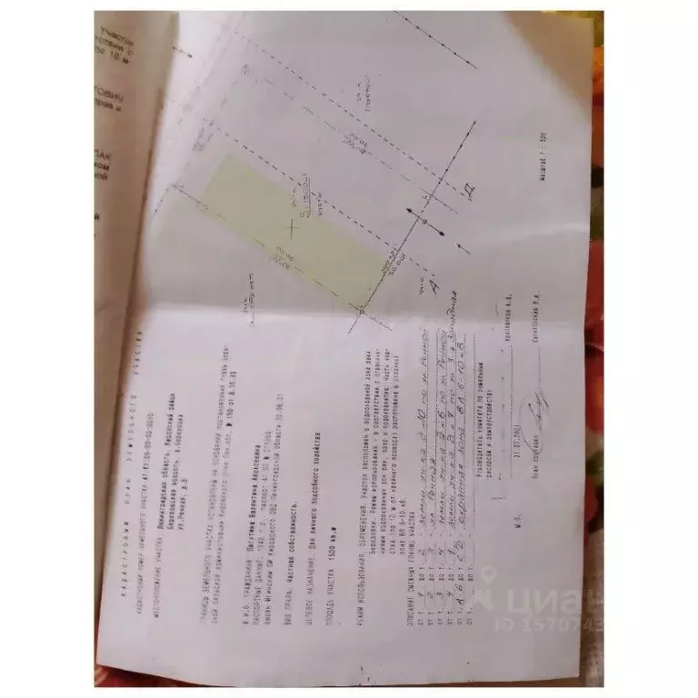 Участок в Ленинградская область, Кировский район, Мгинское городское ... - Фото 2