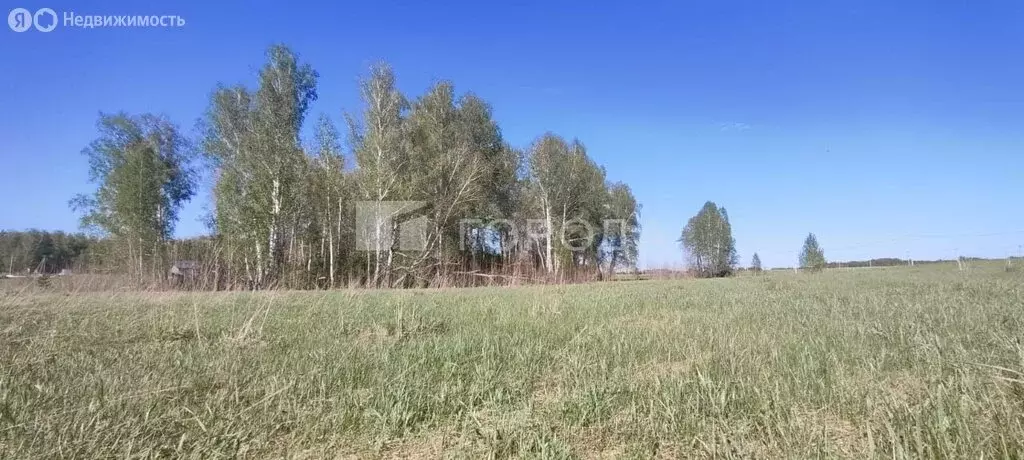 Участок в село Фирсово, жилой комплекс Палитра (8.5 м) - Фото 2