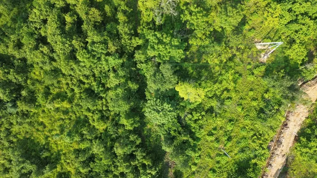 Участок в Приморский край, Артемовский городской округ, с. Ясное ул. ... - Фото 2