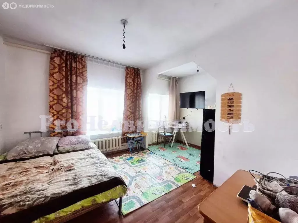 1-комнатная квартира: село Бай-Хаак, улица Данчай Оюна, 45 (24.8 м) - Фото 1