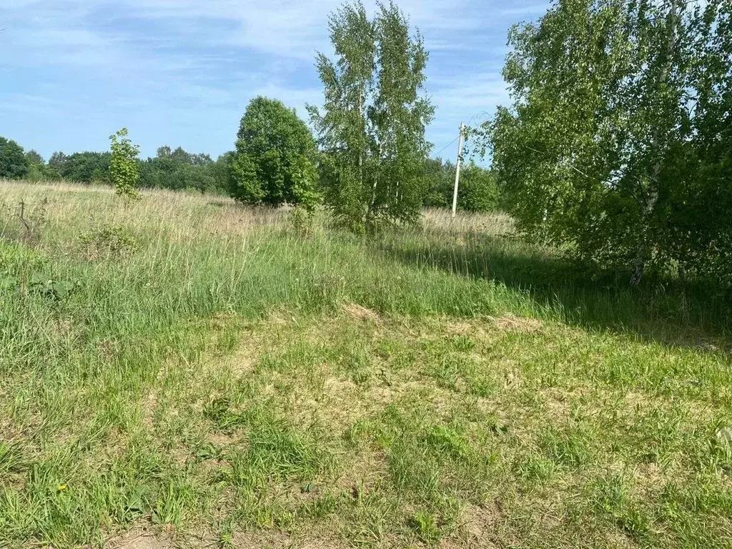 Участок в Московская область, Орехово-Зуевский городской округ, д. ... - Фото 1