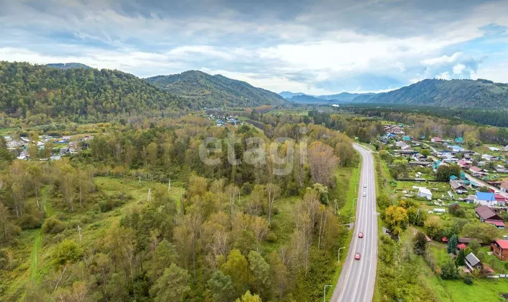 Участок в Алтай, Майминский район, с. Соузга Молодежная ул. (20.98 ... - Фото 1