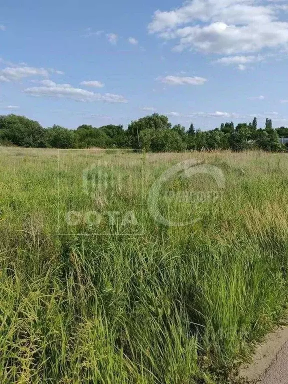 Участок в Воронежская область, с. Новая Усмань ул. Ленина, 22 (18.0 ... - Фото 1