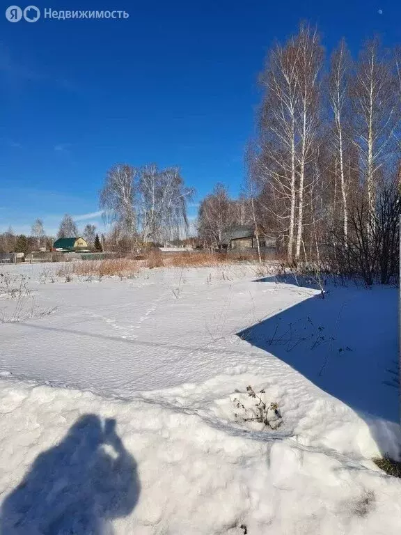 Участок в Унечский район, Старосельское сельское поселение, деревня ... - Фото 2