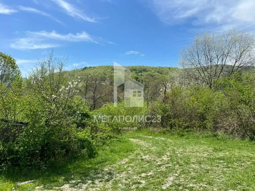 Участок в Краснодарский край, Геленджик городской округ, с. ... - Фото 1