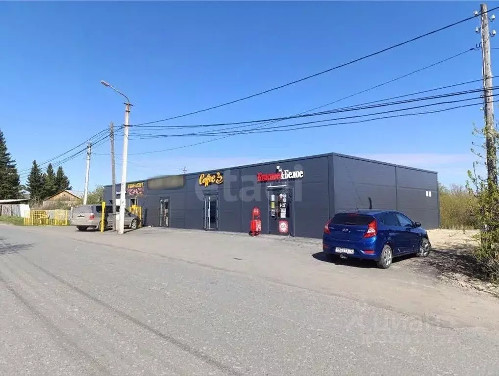 Помещение свободного назначения в Тюменская область, Нижнетавдинский ... - Фото 1