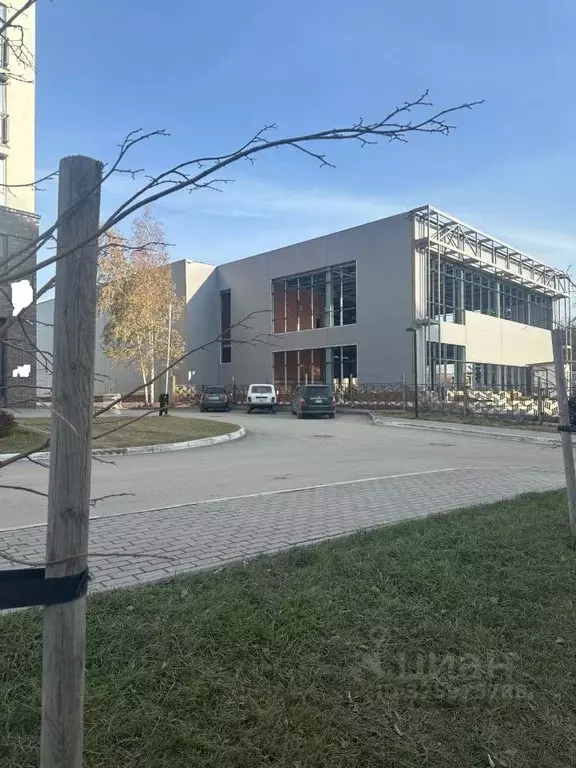 Помещение свободного назначения в Новосибирская область, Новосибирск ... - Фото 1