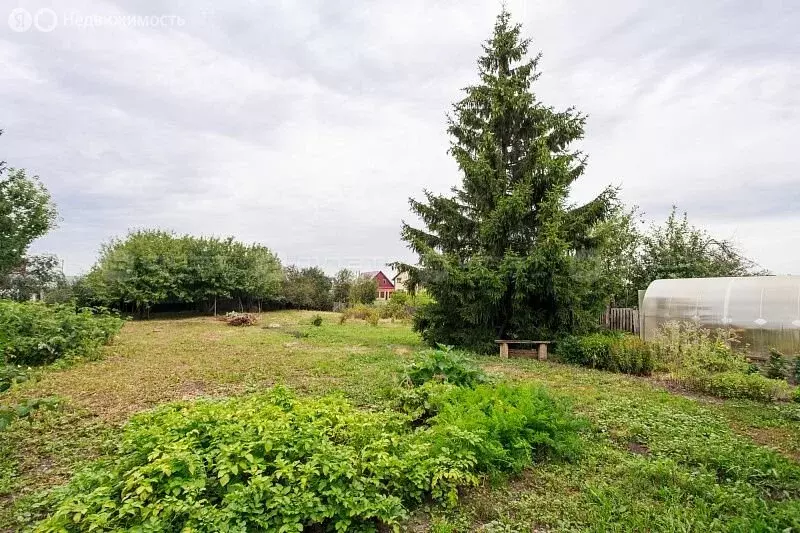 Участок в Большие Кабаны, Советская улица, 31 (14.2 м) - Фото 1