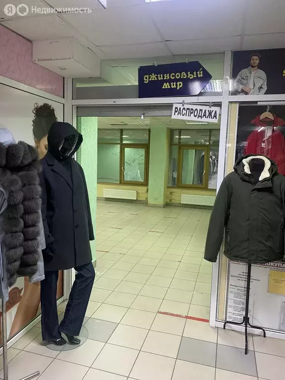 Помещение свободного назначения (54.1 м) - Фото 1