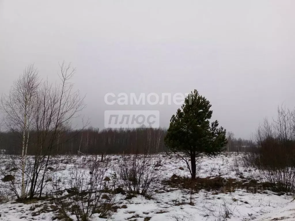 Участок в Ярославская область, Переславль-Залесский муниципальный ... - Фото 1