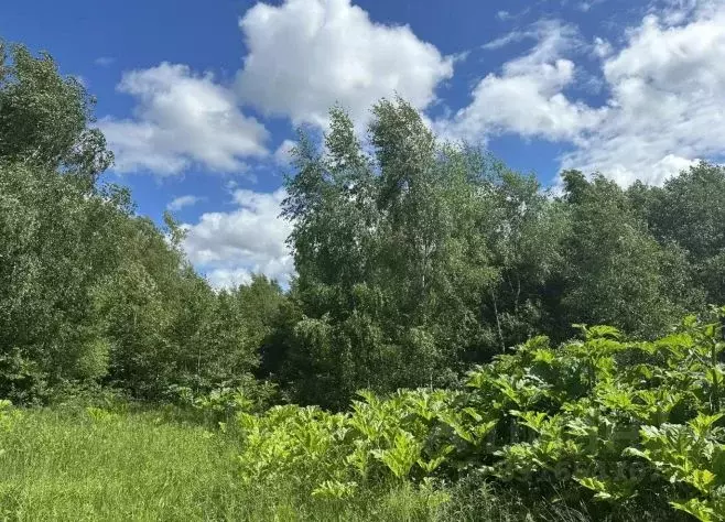 Участок в Московская область, Рузский муниципальный округ, с. Старо  ... - Фото 1