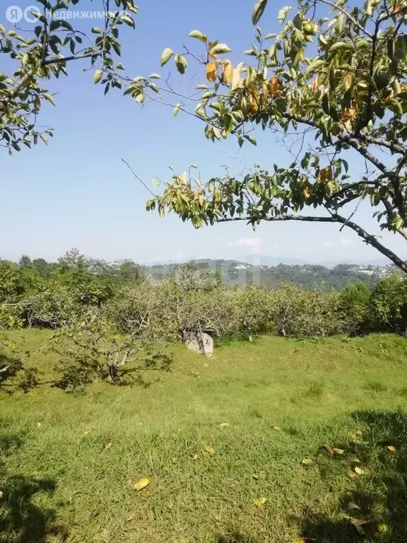 Участок в село Орёл-Изумруд, улица 10 лет Октября (35.2 м) - Фото 1