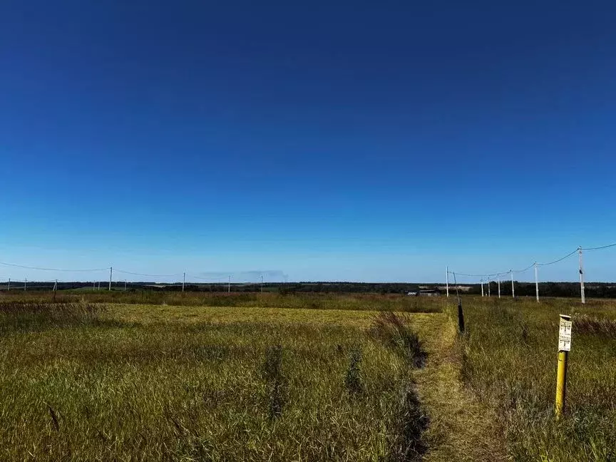 Участок в Курская область, Курск ул. Дивная (10.0 сот.) - Фото 2