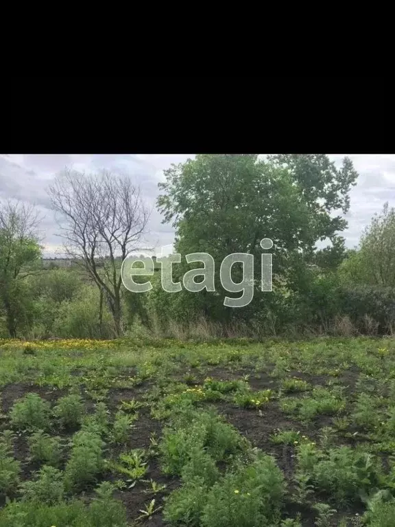 Участок в Курганская область, Шадринск ул. Важенина (15.55 сот.) - Фото 1