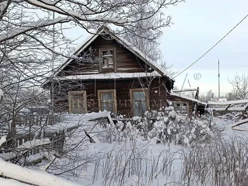 Дом в Ленинградская область, Лодейное поле просп. Октябрьский, 46 (56 ... - Фото 1