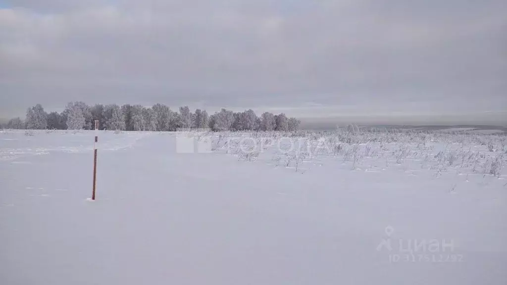 Участок в Кемеровская область, Новокузнецкий муниципальный округ, с. ... - Фото 1
