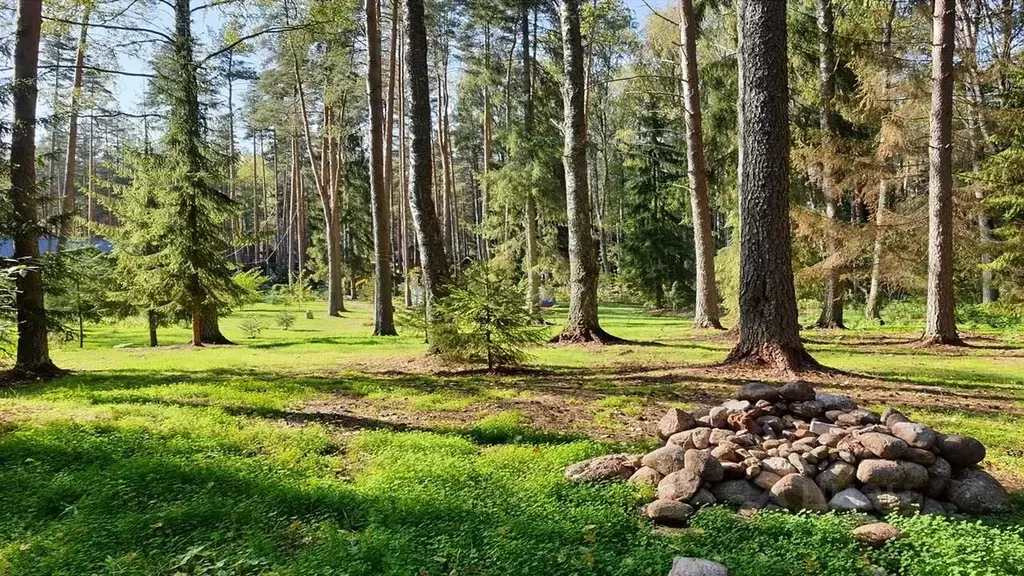 Участок в Ленинградская область, Выборгский район, Красносельское ... - Фото 2