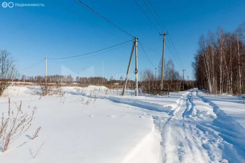 Участок в Тюменская область, Нижнетавдинский муниципальный округ, СНТ ... - Фото 2