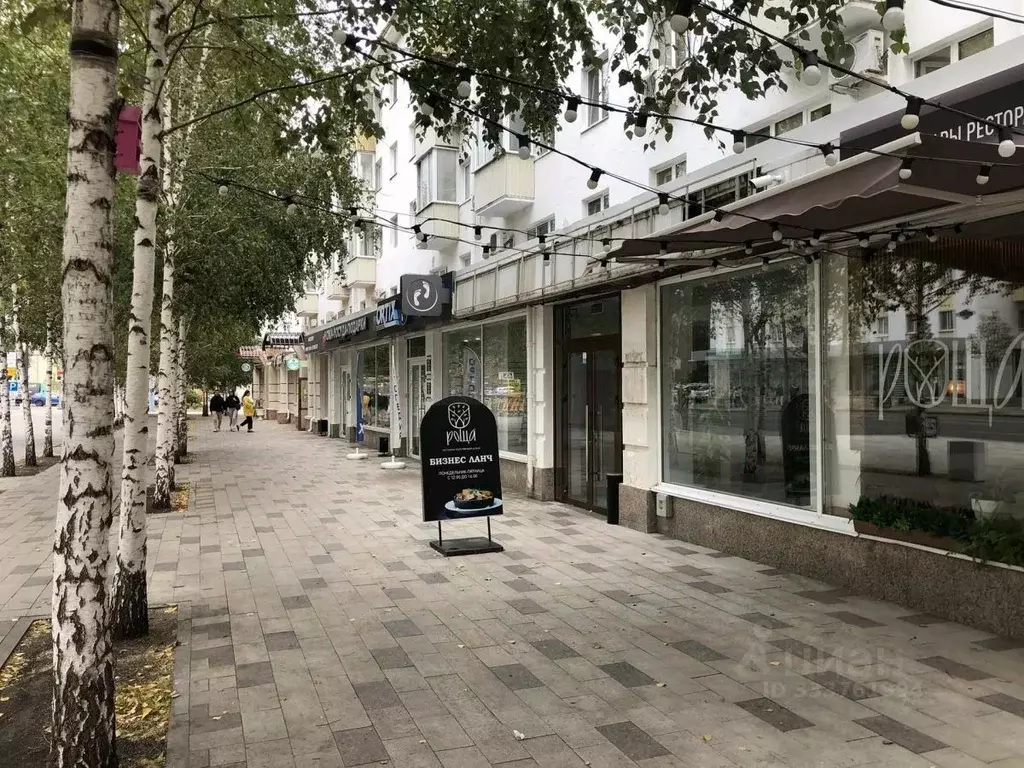Помещение свободного назначения в Башкортостан, Уфа ул. Ленина, 74 ... - Фото 1