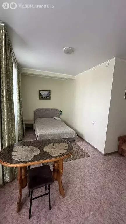 Квартира-студия: Бийск, улица Декабристов, 22 (26.9 м) - Фото 2